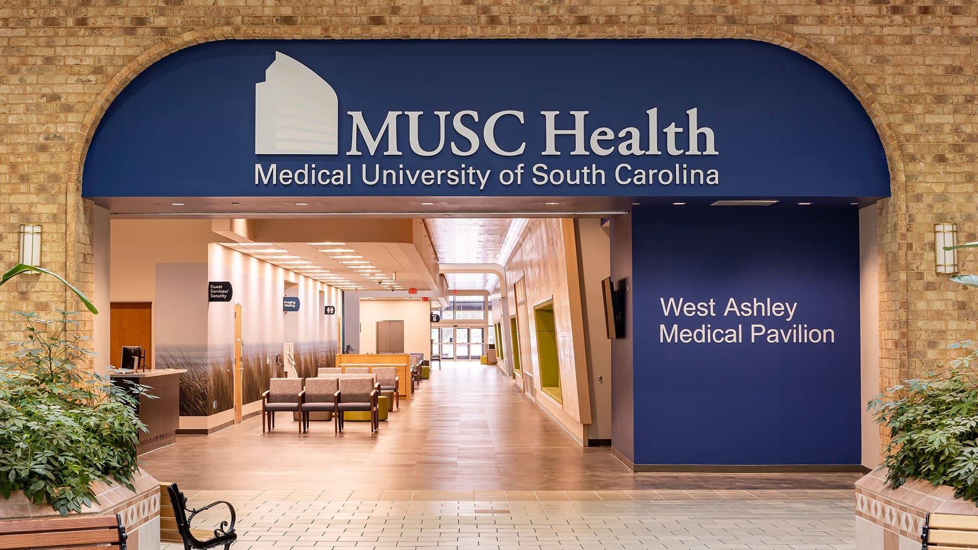 MUSC Health main image